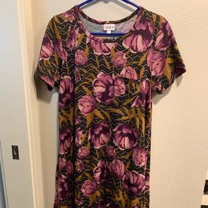 LuLaRoe Carly- XS